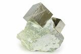 Two Large Shiny Pyrite Cubes In Rock - Navajun, Spain #343200-1
